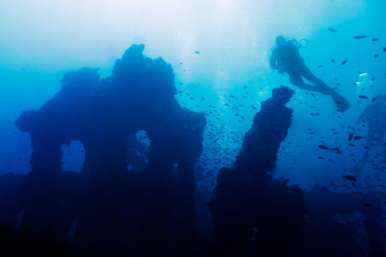 person diving on the wreck