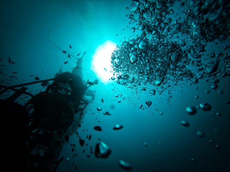 Wreck diving art